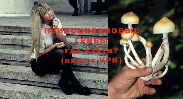 apvp Вяземский