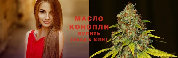 прущие грибы Бородино
