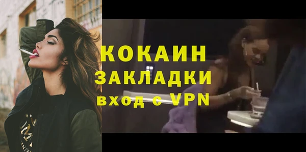 прущие грибы Бородино