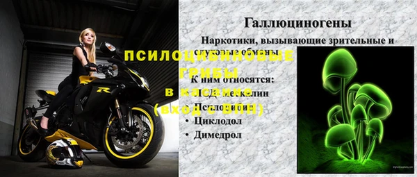 PSILOCYBIN Верхний Тагил