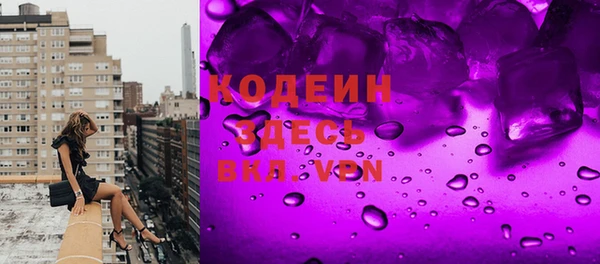 гашик Верея