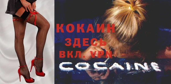 гашик Верея